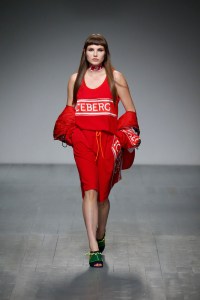 Iceberg Spring 2019