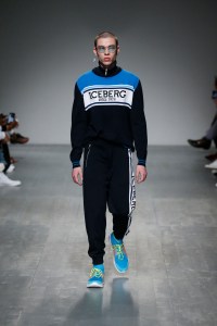 Iceberg Spring 2019