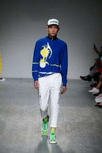Iceberg Spring 2019