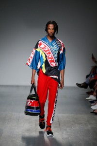 Iceberg Spring 2019