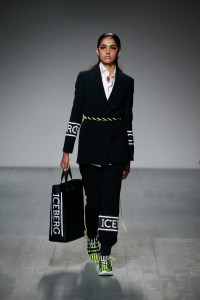 Iceberg Spring 2019