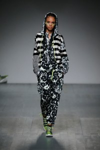 Iceberg Spring 2019