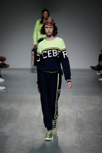 Iceberg Spring 2019