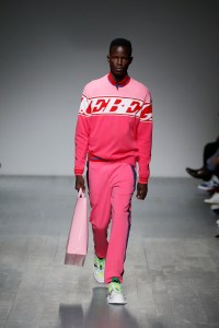 Iceberg Spring 2019