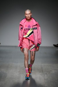 Iceberg Spring 2019