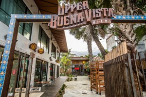 Buena Vista, Florida.