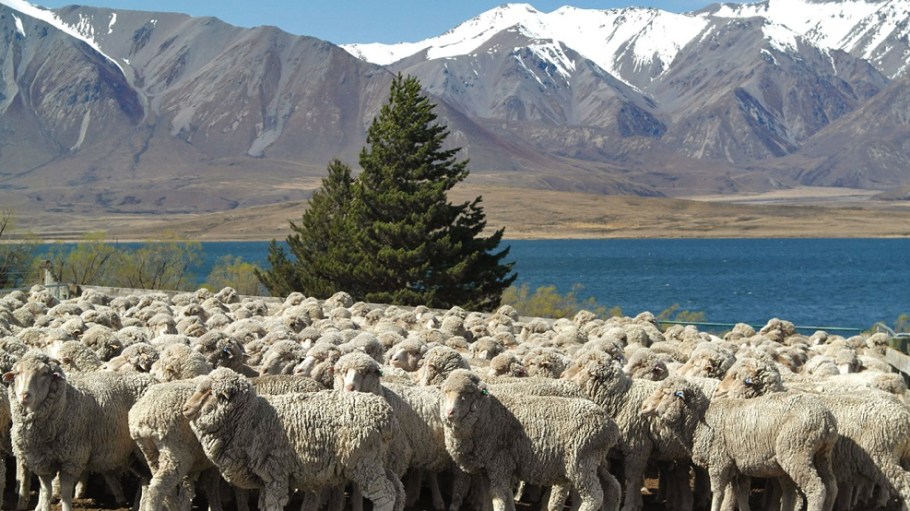 Patagonia