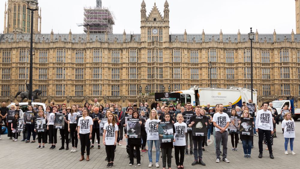 Fur activists stage a silent protest outside Parliament