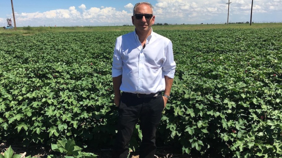 Dan Feibus in field