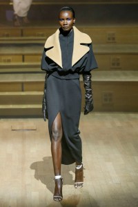 Stéphane Rolland Couture Fall 2018