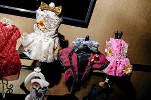 The scene at the Cat Fashion Show.