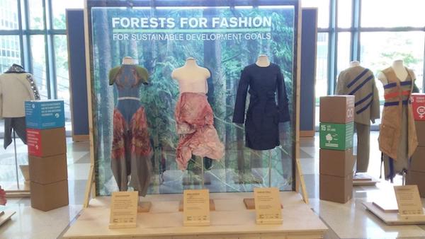 Made in Forests Film Focuses on Fashion's Environmental Impact