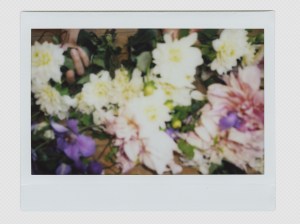 "A ceremony of beauty, life, and death." - Mara Hoffman