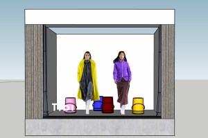 Tibi's window at Saks Fifth Avenue.