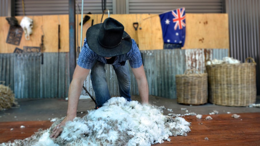 wool