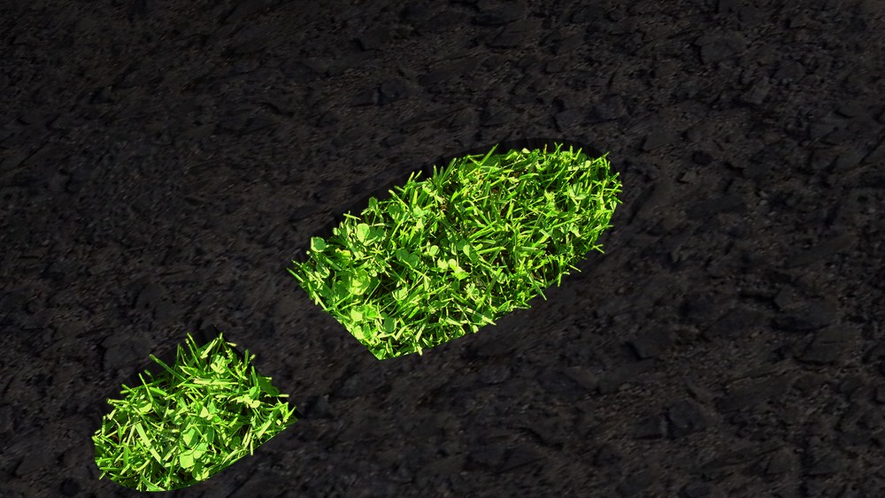 green footprint