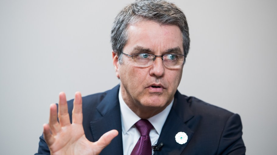 WTO Head Warns US Exit Would Mean Chaos for American Business