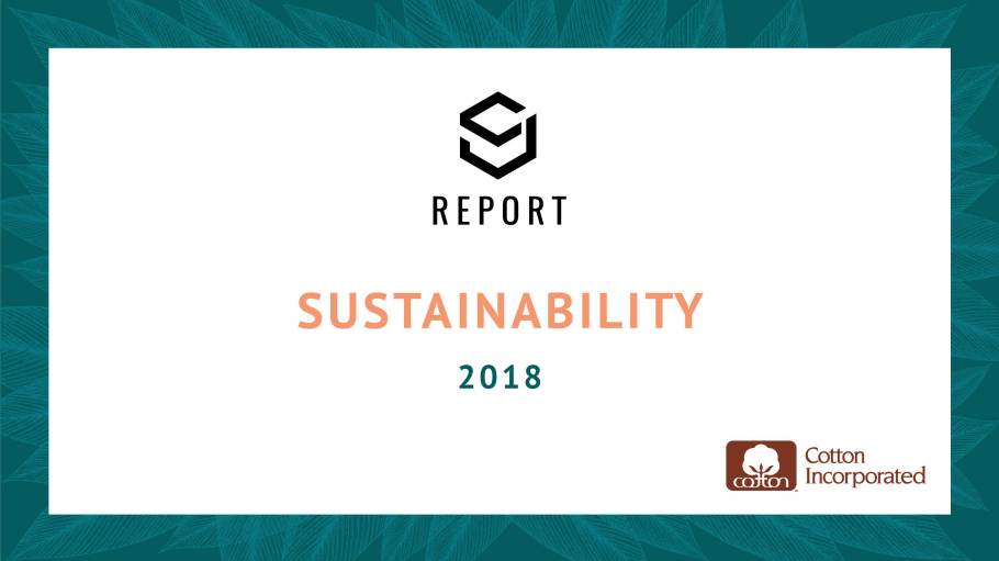 SJ Report: Sustainability