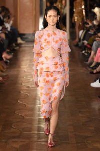 Altuzarra RTW Spring 2019