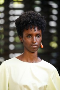 Roksanda  DETAILS RTW Spring 2019