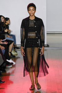 Huishan Zhang RTW Spring 2019