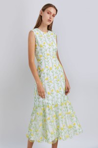 Novis RTW Spring 2019