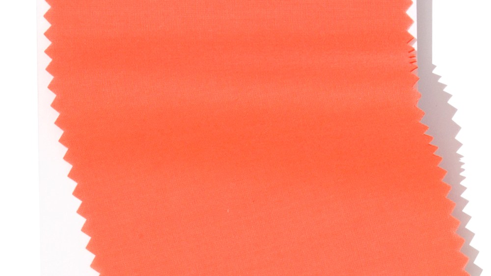 Pantone's Color of the Year 2019: 'Living Coral'