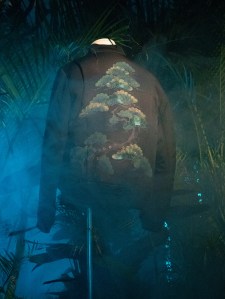 Reveal Project RTW Spring 2019