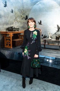 Allison Speer attends The San Francisco Fall Art & Antiques Show Opening Nigh Preview Gala on October 10th 2018 at Festival Pavilion, Fort Mason Center for Arts & Culture in SAN FRANCISCO, CA (Photo - Drew Altizer)