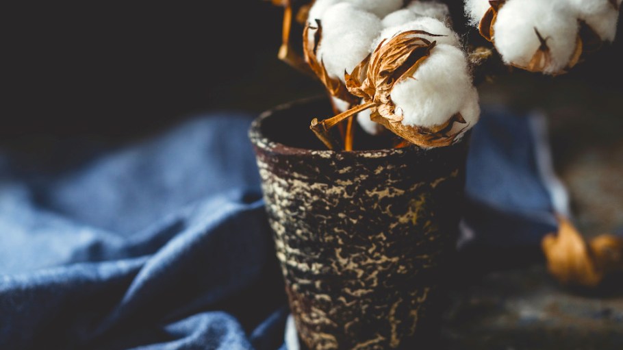 No Blues for Blue Jeans Thanks to Enthusiasm for Cotton Denim