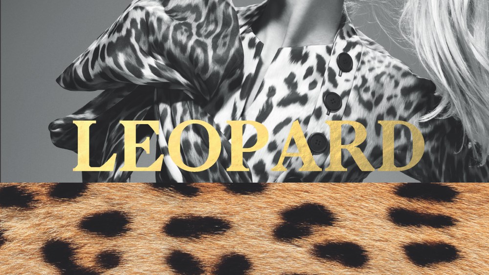 Cover of "Leopard: Fashion’s Most Powerful Print"