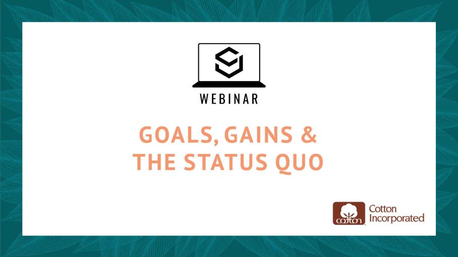 SJ Webinar: Goals, Gains & the Status Quo