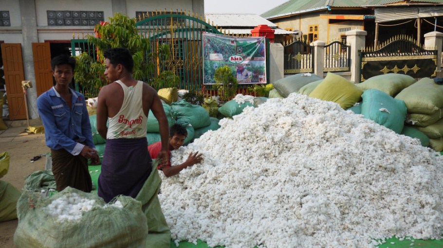 cotton