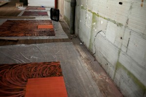 Inside Carmen Argote's studio.