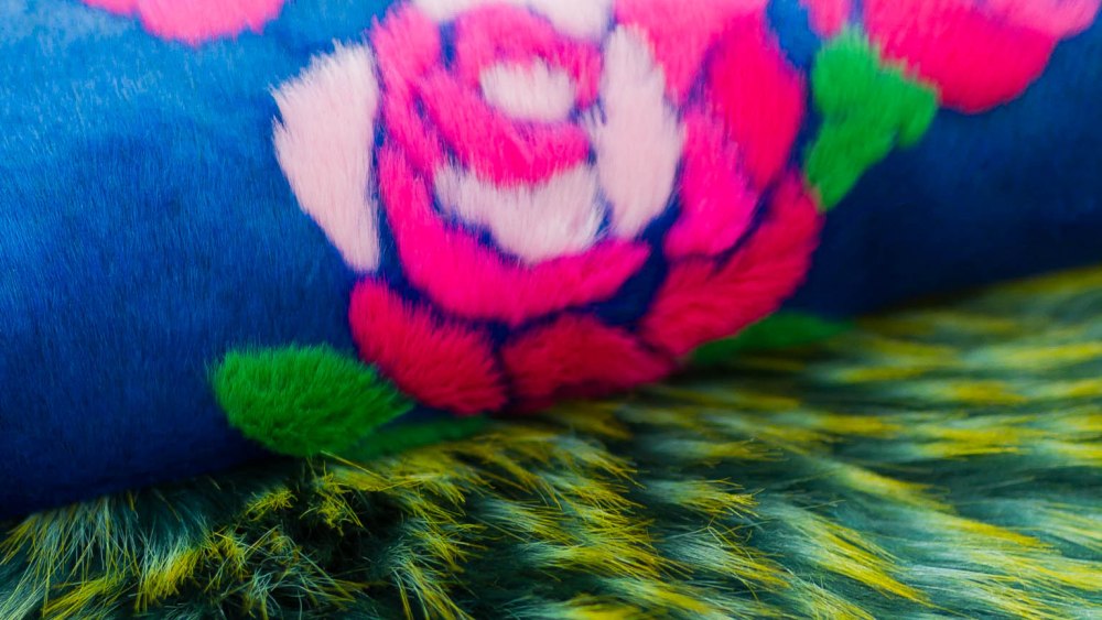 www.Kamera.studio