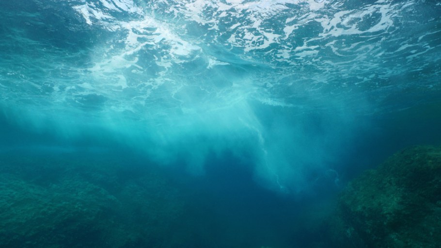 a view from under the sea
