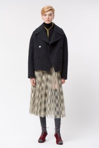 Dior Pre-Fall 2019