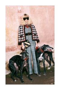 Gucci Pre-Fall 2019