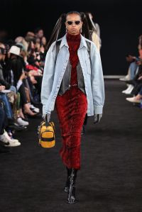 Alexander Wang Pre-Fall 2019