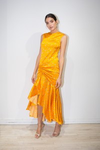 Caroline Constas Pre-Fall 2019
