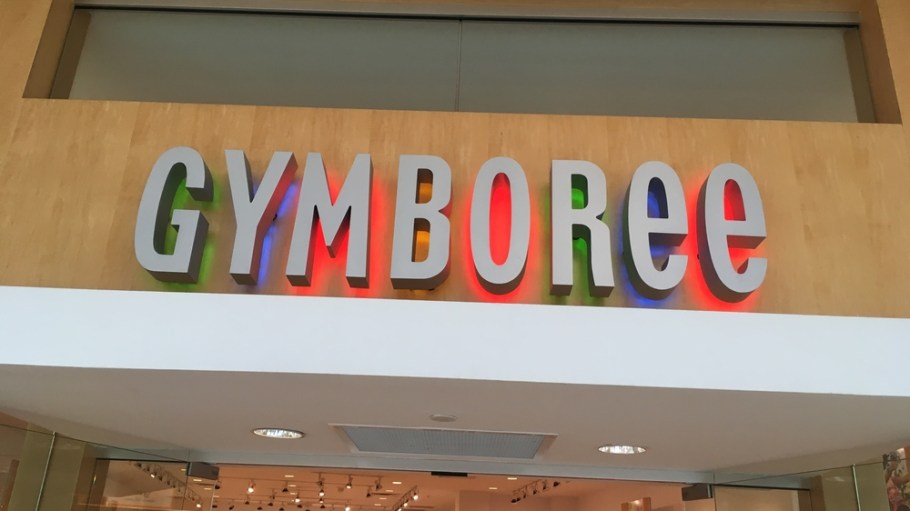 Children’s wear chain Gymboree could wind down the majority if its 900+ stores, giving legs to the vexatious retail apocalypse narrative.