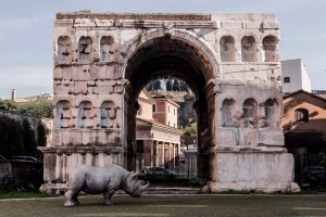 A look at Rhinoceros in Rome.