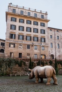 A look at Rhinoceros in Rome.