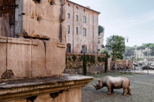 A look at Rhinoceros in Rome.