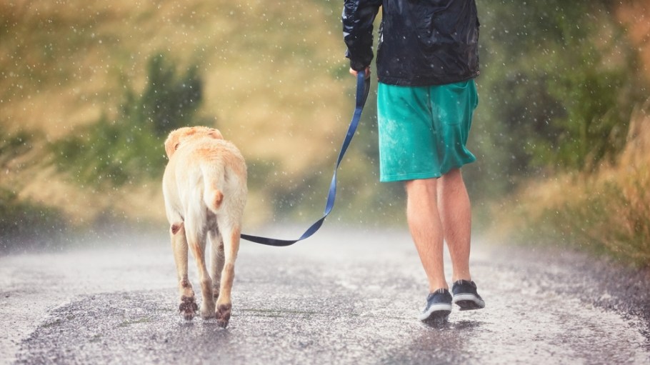 Why do outdoor apparel brands make gear with durable water repellents that ward off dirt and oil if consumers don’t care about stain resistance?