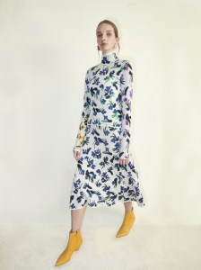 Christian Wijnants Pre-Fall 2019