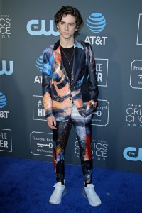 Timothee Chalamet
24th Annual Critics' Choice Awards, Arrivals, Barker Hanger, Los Angeles, USA - 13 Jan 2019