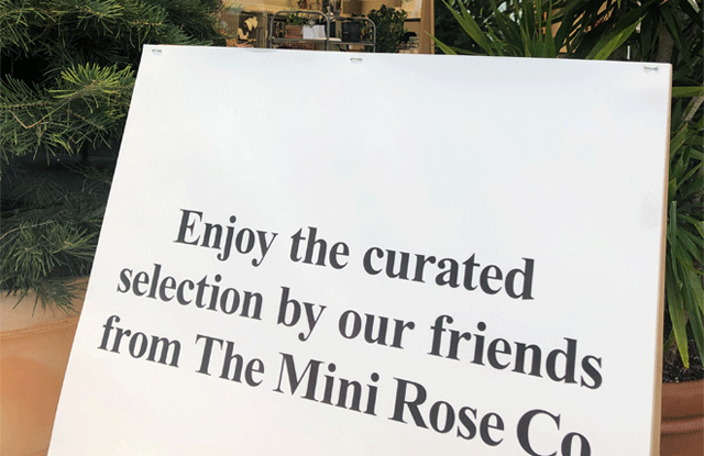 Will Everything Still Be 'Curated' in 2019?