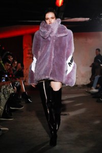 MISBHV Men's Fall 2019