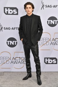 Timothee Chalamet25th Annual Screen Actors Guild Awards, Arrivals, Los Angeles, USA - 27 Jan 2019